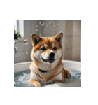 柴犬の日常1（個別スタンプ：16）