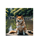 柴犬の日常1（個別スタンプ：17）