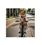 柴犬の日常1（個別スタンプ：18）
