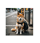 柴犬の日常1（個別スタンプ：21）