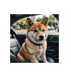 柴犬の日常1（個別スタンプ：29）