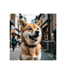 柴犬の日常1（個別スタンプ：30）