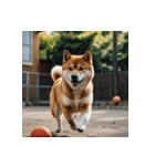 柴犬の日常1（個別スタンプ：36）