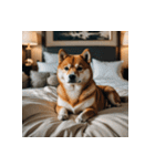 柴犬の日常1（個別スタンプ：39）