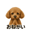 お祈りするトイプードル（個別スタンプ：1）