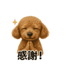お祈りするトイプードル（個別スタンプ：2）