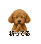お祈りするトイプードル（個別スタンプ：3）