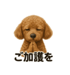 お祈りするトイプードル（個別スタンプ：4）