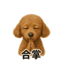 お祈りするトイプードル（個別スタンプ：8）