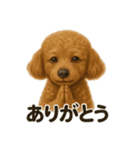 お祈りするトイプードル（個別スタンプ：12）