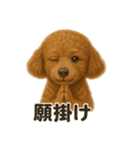 お祈りするトイプードル（個別スタンプ：13）