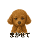 お祈りするトイプードル（個別スタンプ：14）