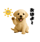 ぽふぽふどうぶつ団（個別スタンプ：5）