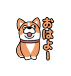 斜視コギ①（個別スタンプ：1）