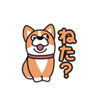 斜視コギ①（個別スタンプ：5）
