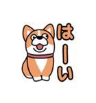 斜視コギ①（個別スタンプ：7）