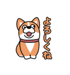 斜視コギ①（個別スタンプ：11）