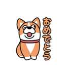 斜視コギ①（個別スタンプ：13）