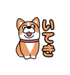 斜視コギ①（個別スタンプ：14）