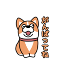 斜視コギ①（個別スタンプ：16）