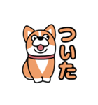 斜視コギ①（個別スタンプ：17）