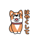 斜視コギ①（個別スタンプ：20）