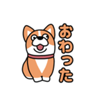 斜視コギ①（個別スタンプ：21）