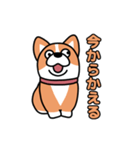 斜視コギ①（個別スタンプ：22）