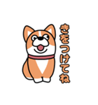 斜視コギ①（個別スタンプ：23）