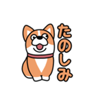 斜視コギ①（個別スタンプ：31）