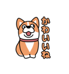 斜視コギ①（個別スタンプ：33）