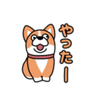 斜視コギ①（個別スタンプ：34）
