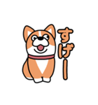斜視コギ①（個別スタンプ：36）