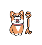 斜視コギ①（個別スタンプ：37）