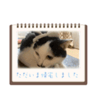 ニーとチョビ（個別スタンプ：2）