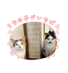 ニーとチョビ（個別スタンプ：3）