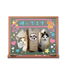 ニーとチョビ（個別スタンプ：5）