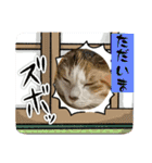 ニーとチョビ（個別スタンプ：8）
