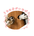 ニーとチョビ（個別スタンプ：11）