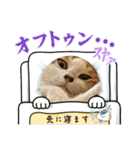 ニーとチョビ（個別スタンプ：12）
