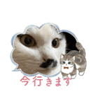 ニーとチョビ（個別スタンプ：17）