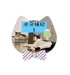 ニーとチョビ（個別スタンプ：20）