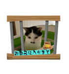 ニーとチョビ（個別スタンプ：21）