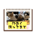 ニーとチョビ（個別スタンプ：23）