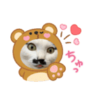 ニーとチョビ（個別スタンプ：25）