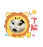 ニーとチョビ（個別スタンプ：27）