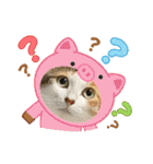 ニーとチョビ（個別スタンプ：28）