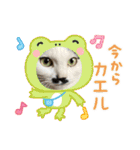 ニーとチョビ（個別スタンプ：33）