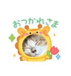 ニーとチョビ（個別スタンプ：34）