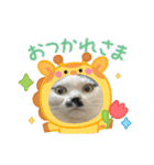 ニーとチョビ（個別スタンプ：35）